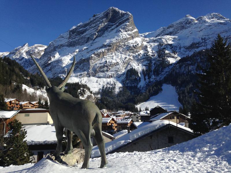 Visite guidée : balade gourmande de  Pralo_Pralognan-la-Vanoise - Visite guidée : balade gourmande de Pralo