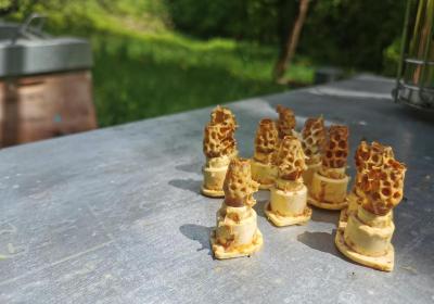 Le secret des abeilles : causerie et dégustation_Val-d'Arc - Le secret des abeilles : causerie et dégustation Val-d'Arc