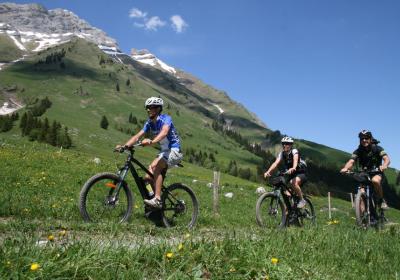 Col des Aravis - Flumet - Col des Aravis - Flumet