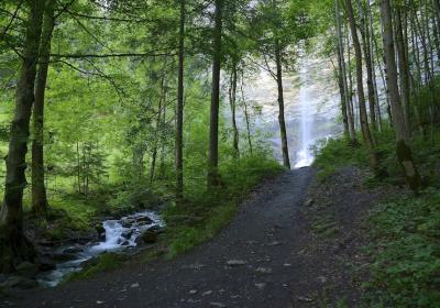 La cascade du Dard - La cascade du Dard