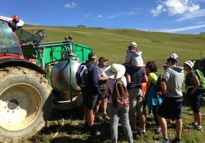 rencontre avec l'alpagiste col du joly - Rencontre avec l'alpagiste au col du Joly rencontre avec l'alpagiste col du joly - Rencontre avec l'alpagiste au col du Joly