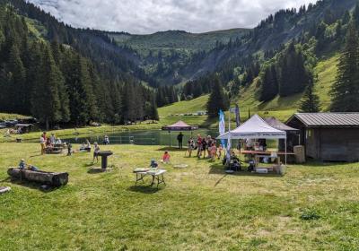Le théâtre monte en alpage - Le théâtre monte en alpage