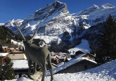 Visite guidée : C'est beau Pralo !_Pralognan-la-Vanoise - visite guidée : c'est beau Pralo !