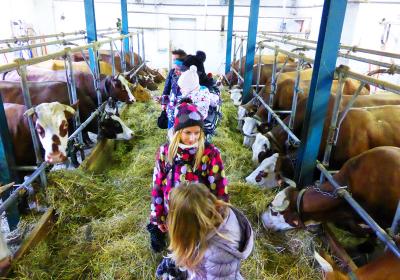 Photo - Rdo Panoramique + visite de la Ferme