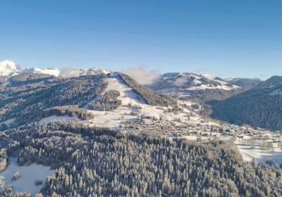 Visite guidée : Art et Histoire à Notre Dame de Bellecombe avec la Fondation Facim_Notre-Dame-de-Bellecombe - Visite guidée : Art et Histoire à Notre Dame de Bellecombe avec la Fondation Facim_Notre-Dame-de-Bellecombe