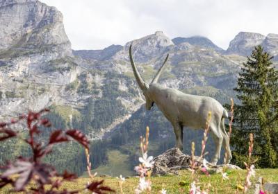 Visite guidée : balade gourmande de  Pralo_Pralognan-la-Vanoise