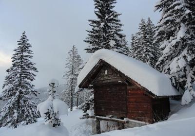 Visite guidée : il était une fois Courchevel 1850 ; spéciale 80 ans_Courchevel - Visite guidée : il était une fois Courchevel, spéciale 80 ans