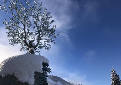 Visite guidée : l'art au sommet à Courchevel, exposition culturelle à ciel ouvert_Courchevel - Visite guidée : l'art au sommet à Courchevel, exposition culturelle à ciel ouvert