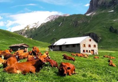 Image - Alpage des Veys