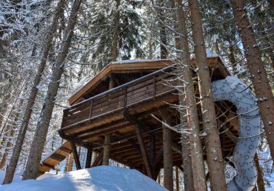 Cabanes entre Terre et Ciel - Cabanes entre Terre et Ciel - Cabane du Ruisseau pour les familles