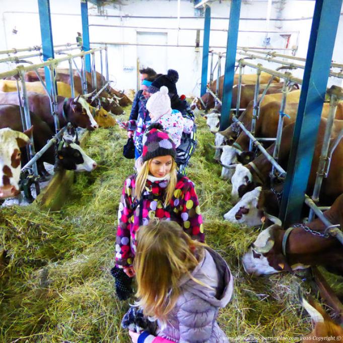 Photo - Rdo Panoramique + visite de la Ferme