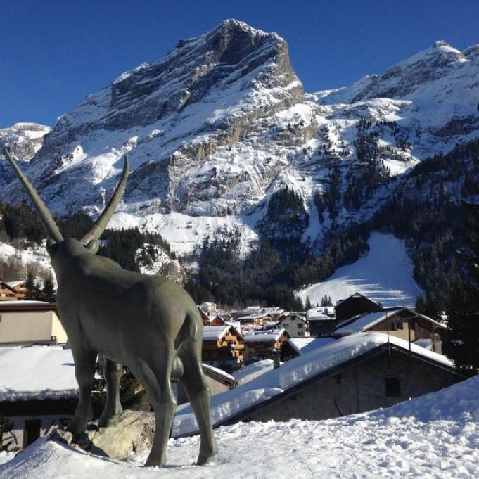Visite guidée : balade gourmande de  Pralo_Pralognan-la-Vanoise - Visite guidée : balade gourmande de Pralo