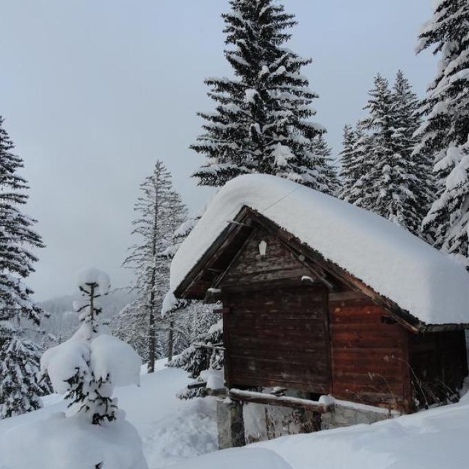 Visite guidée : il était une fois Courchevel 1850 ; spéciale 80 ans_Courchevel - Visite guidée : il était une fois Courchevel, spéciale 80 ans