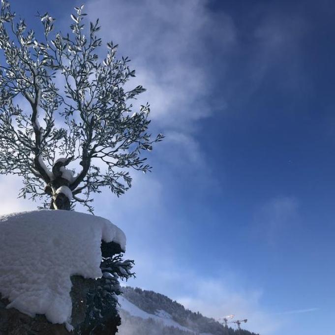 Visite guidée : l'art au sommet à Courchevel, exposition culturelle à ciel ouvert_Courchevel - Visite guidée : l'art au sommet à Courchevel, exposition culturelle à ciel ouvert