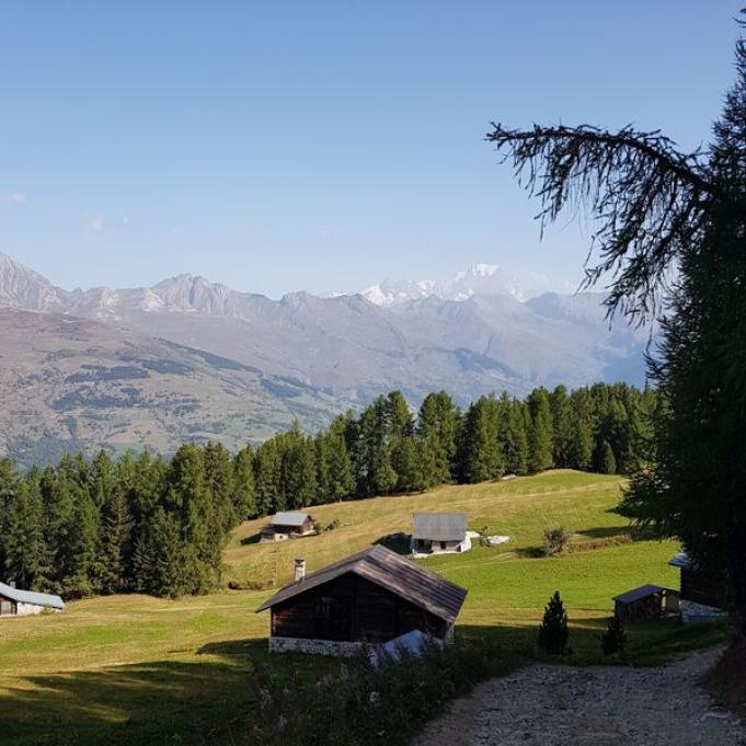 Plagne-Tarentaise (Montchavin-Les Coches ) - Plateau de Plan-Bois