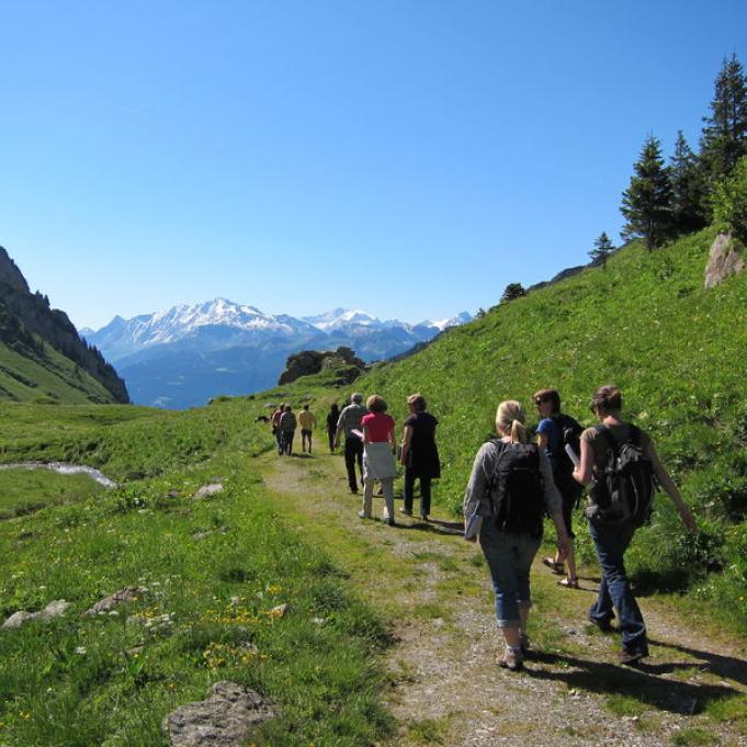 Randonnée en alpage - Randonnée en alpage