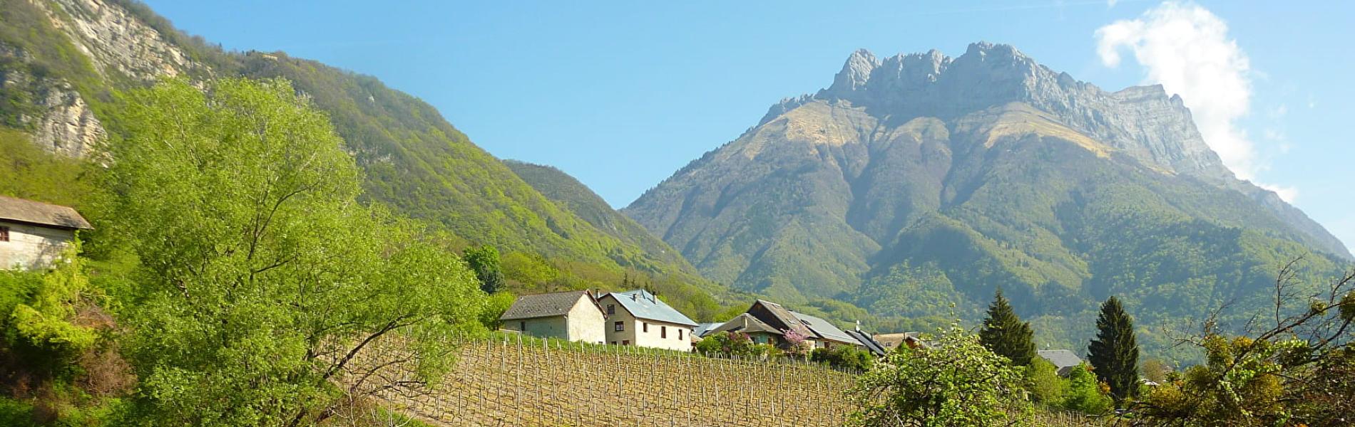 Hameau des Grangettes
