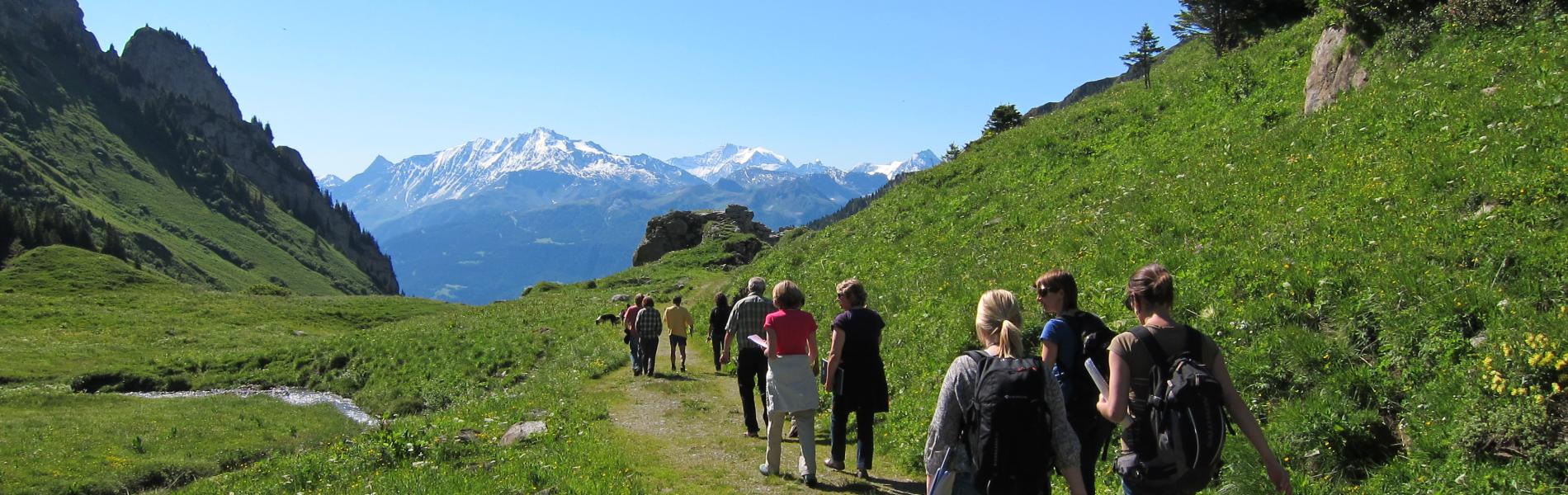 Visite en alpages avec la Fondation Facim Granier, Plan Pichu