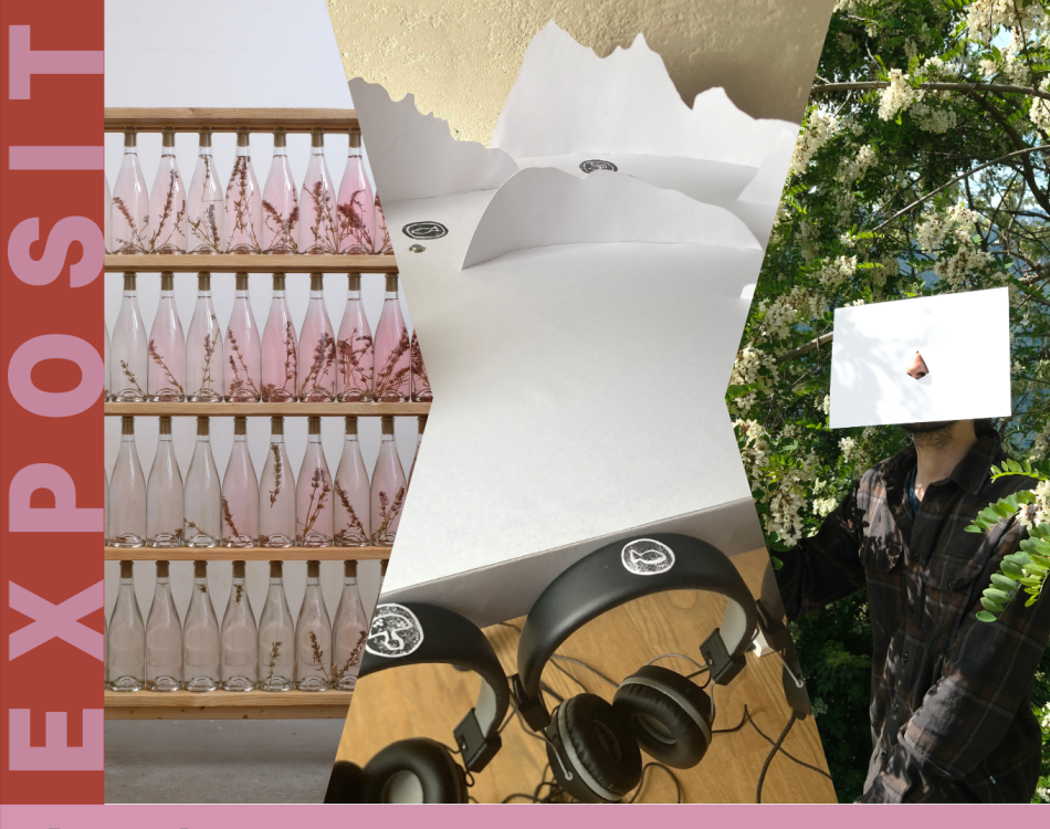 Affiche de l'exposition Goûts du paysage, paysages du goût à La Léchère