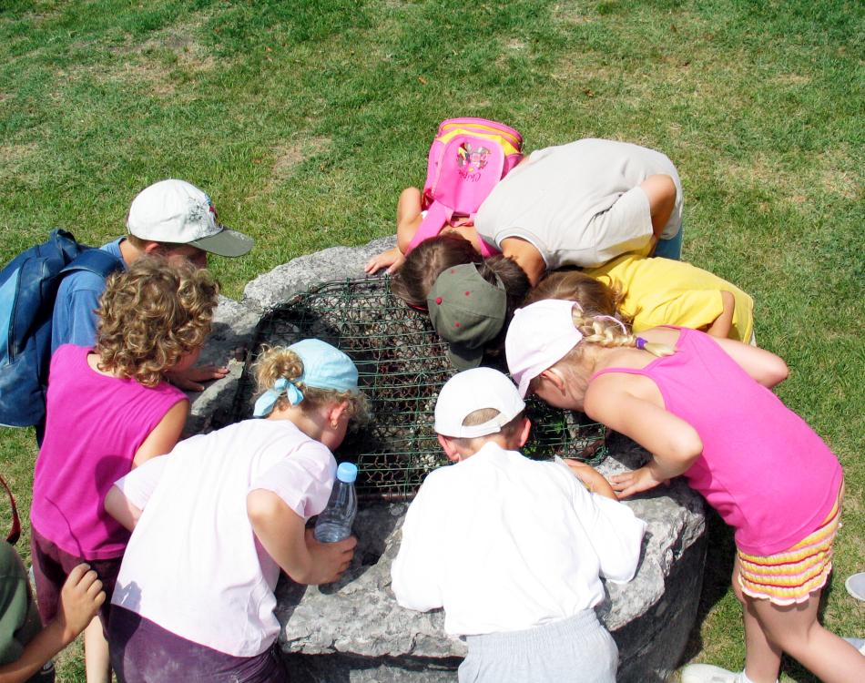 Visite scolaire avec la Fondation Facim