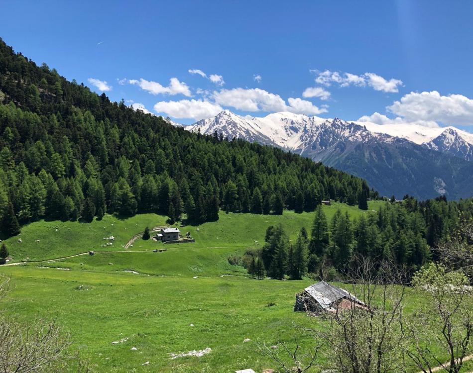 vue du refuge de l'orgère : montagne en été