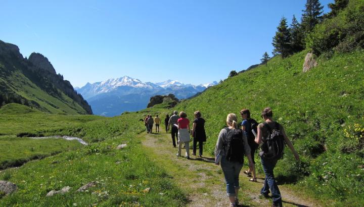 Randonnée en alpage - Randonnée en alpage