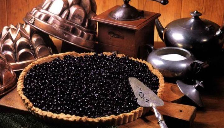 Repas du terroir et Balade gourmande en Savoie_Saint-Alban-d'Hurtières - Conférence Balade gourmande