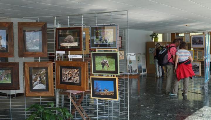 La Maison franco-italienne du Mont Cenis, lieu d'information et d'exposition - Exposition-vente de photos animalières