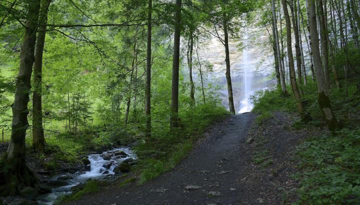 La cascade du Dard - La cascade du Dard