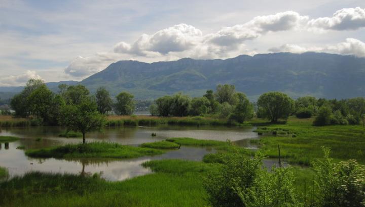Etang des Aigrettes vue de l'observatoire