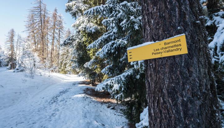 NDV par Barmont - Panneaux