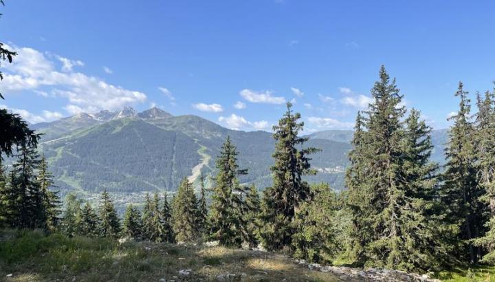 Sur le chemin en direction de Plansoie - Bozel - Sur le chemin en direction de Plansoie - Bozel