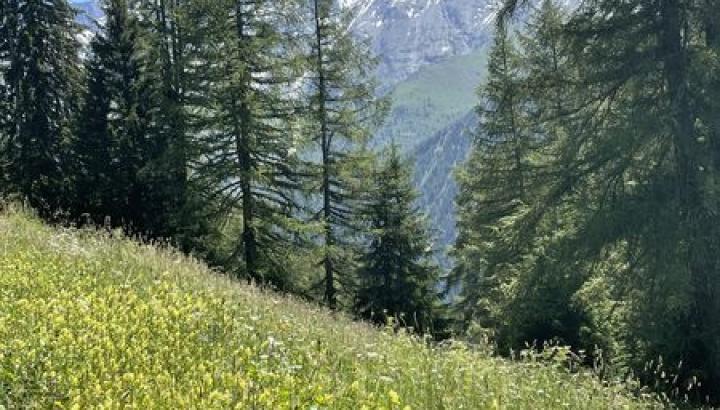 Notre Dame des Vernettes - Image