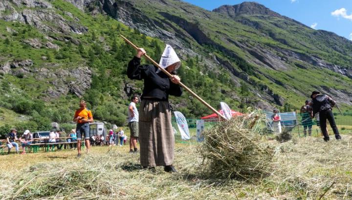 Fête du Rocher entre  Bessans et Bonneval sur Arc - Femme en costume traditionnel qui ramasse du foin au rateau