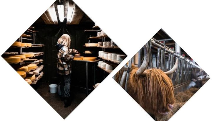 Photo portrait - Rencontre à la ferme - Photo portrait - Rencontre à la ferme