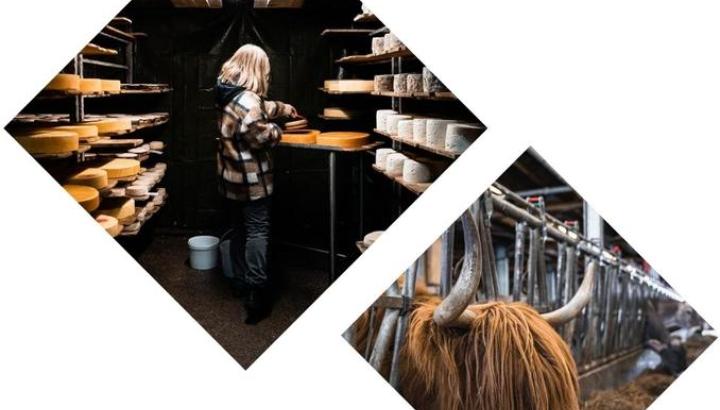 Photo paysage - Rencontre à la ferme - Photo paysage - Rencontre à la ferme