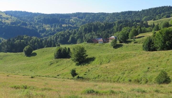 Alpage de la Cluse - Alpage de la Cluse