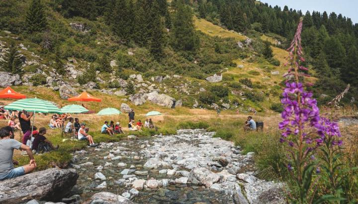 Rencontre d'alpage - dans la Vallée des Bauches