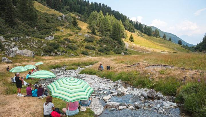 Rencontre d'alpage - dans la Vallée des Bauches
