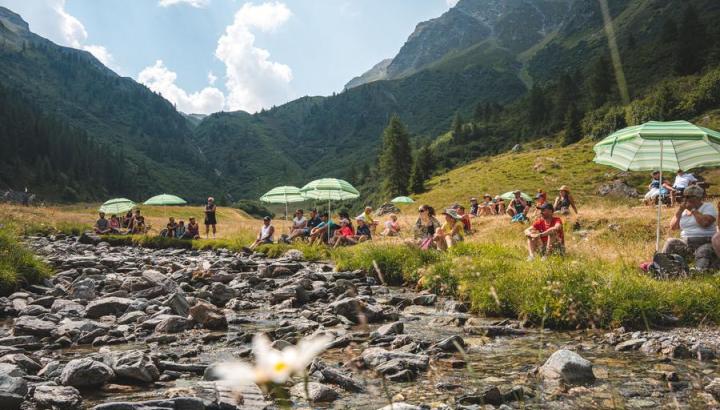 Rencontre d'alpage - dans la Vallée des Bauches
