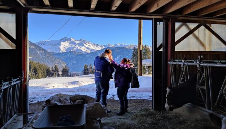 Visite dans l'étable - Vue de l'étable