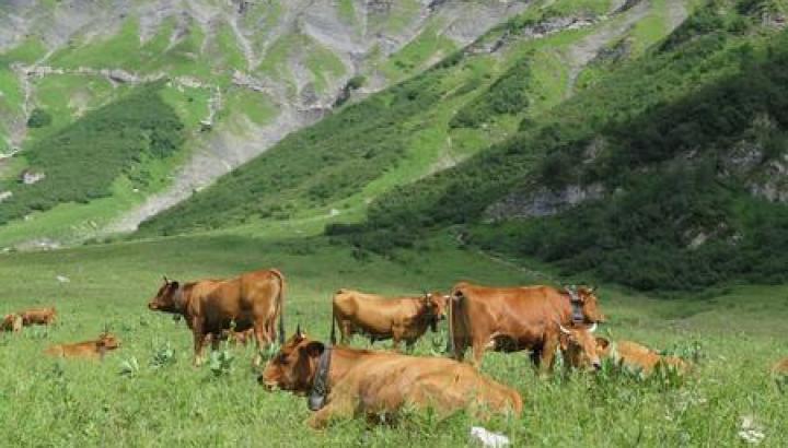 alpage de la Giettaz - alpage de la Giettaz