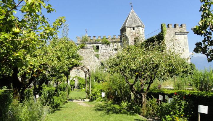 Jardin du château de Miolans - Jardin du château de Miolans