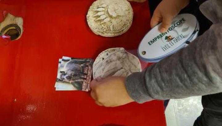 Atelier enfant : Les Apprentis-pisteurs_Hauteluce