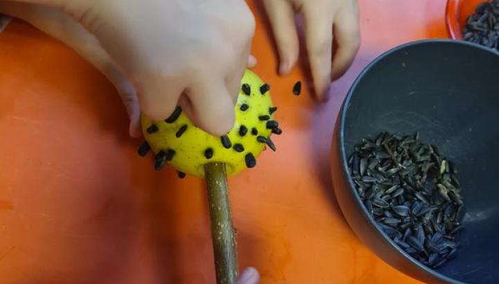 Atelier enfant : Les ornithologues en herbe_Bisanne 1500