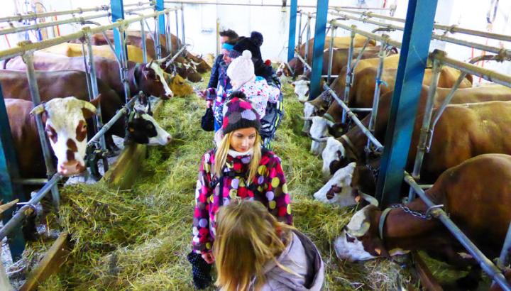 Photo - Rdo Panoramique + visite de la Ferme