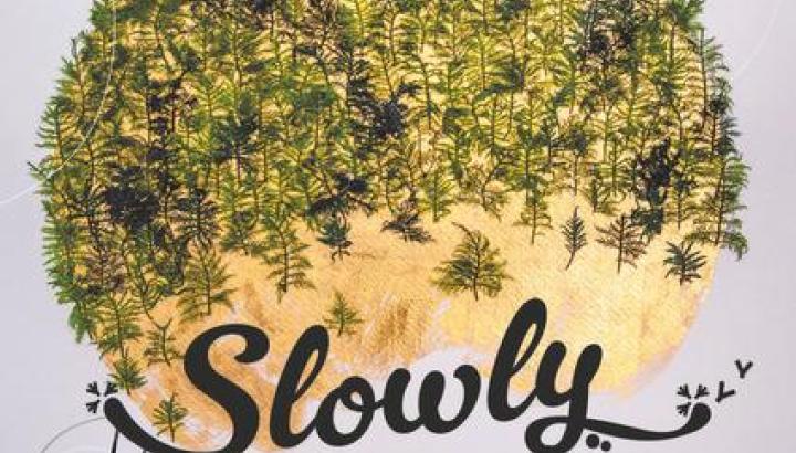 Festival Slowly Val d'Arly - Affiche du Festival Slowly Val d'Arly - Art &amp; Nature en famille