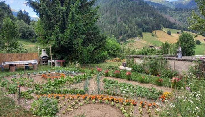 Visite guidée : les jardins d'Arêches_Arêches-Beaufort