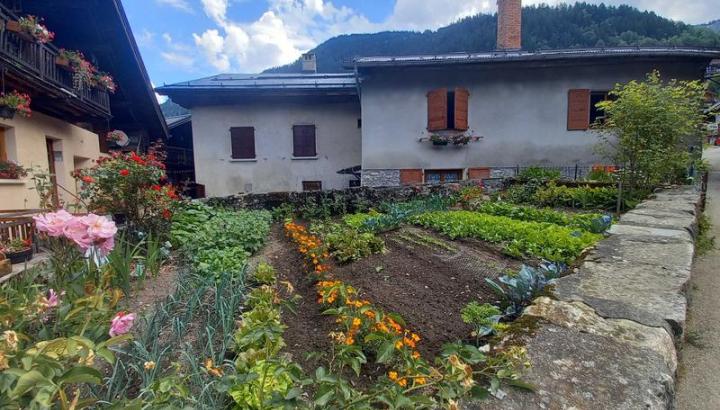 Visite guidée : les jardins d'Arêches_Arêches-Beaufort