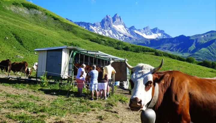 Photo - Abondance
